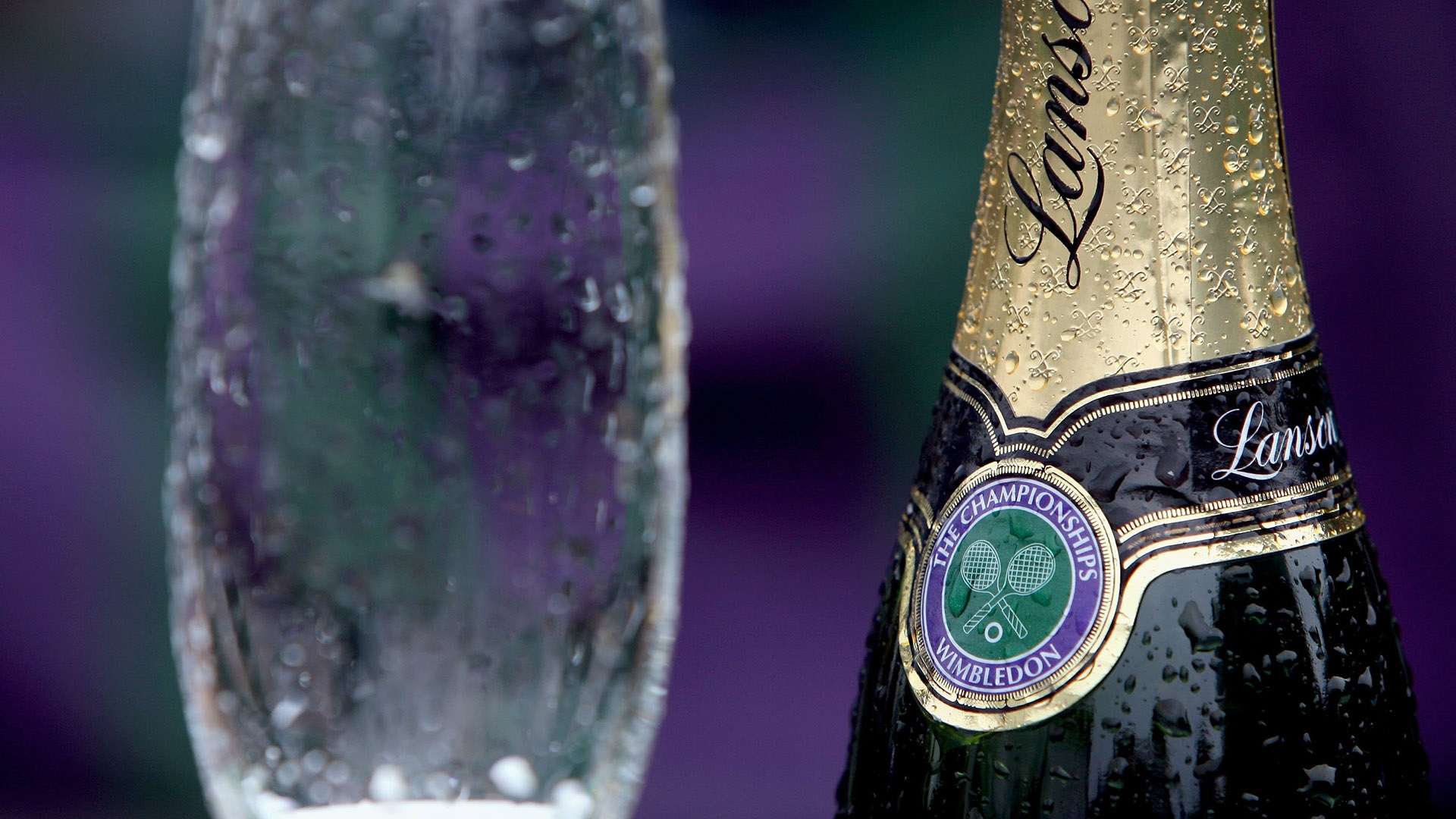 命中率之高 命中率之高